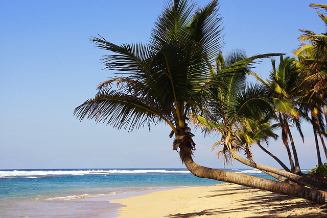 onde fica punta cana