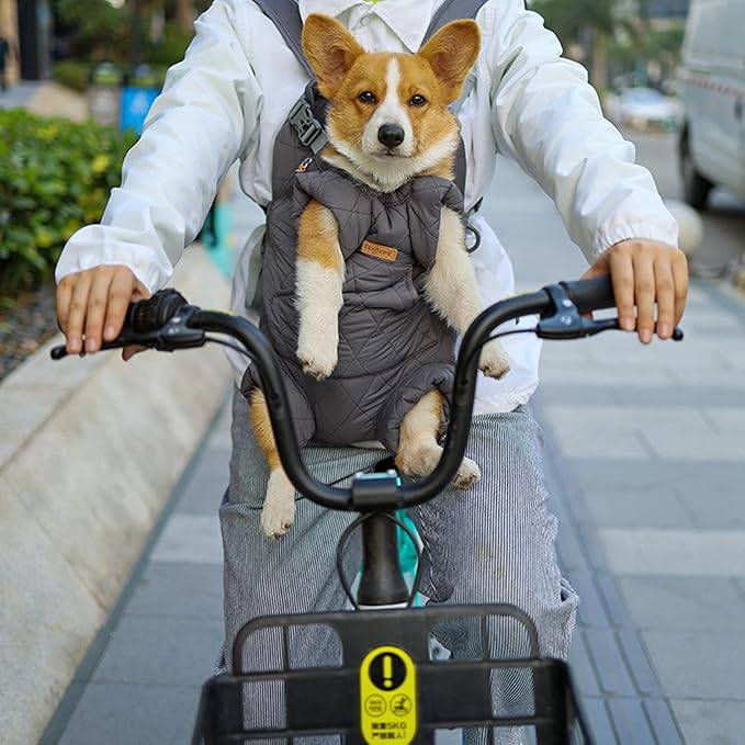 mochila carregar cachorro