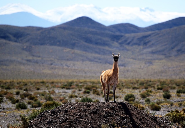 turismo no chile