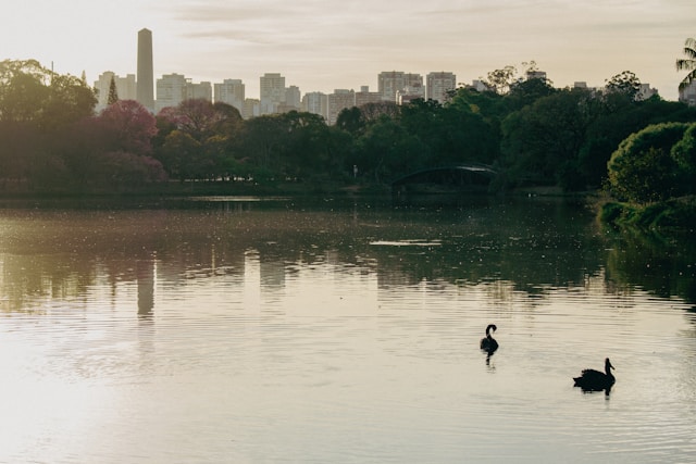 Parque em São Paulo