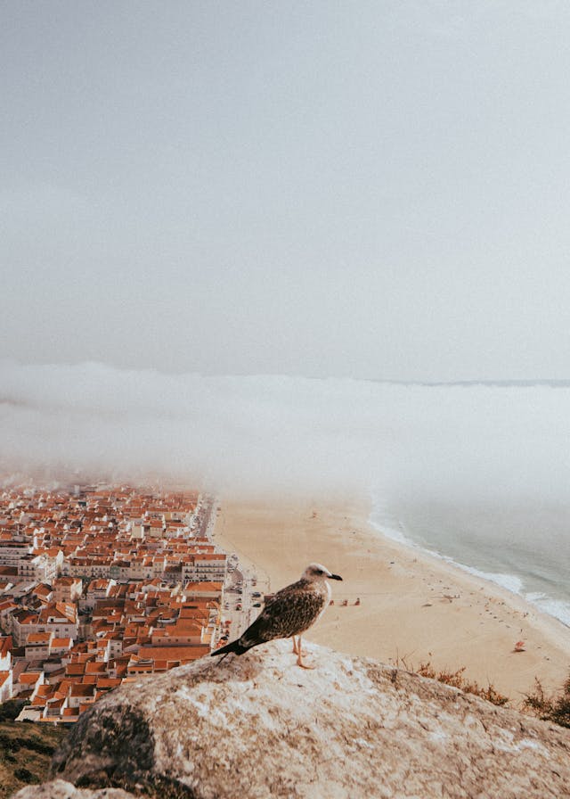 Onde fica Nazaré? Conheça a cidade das ondas - Turismo de Valor